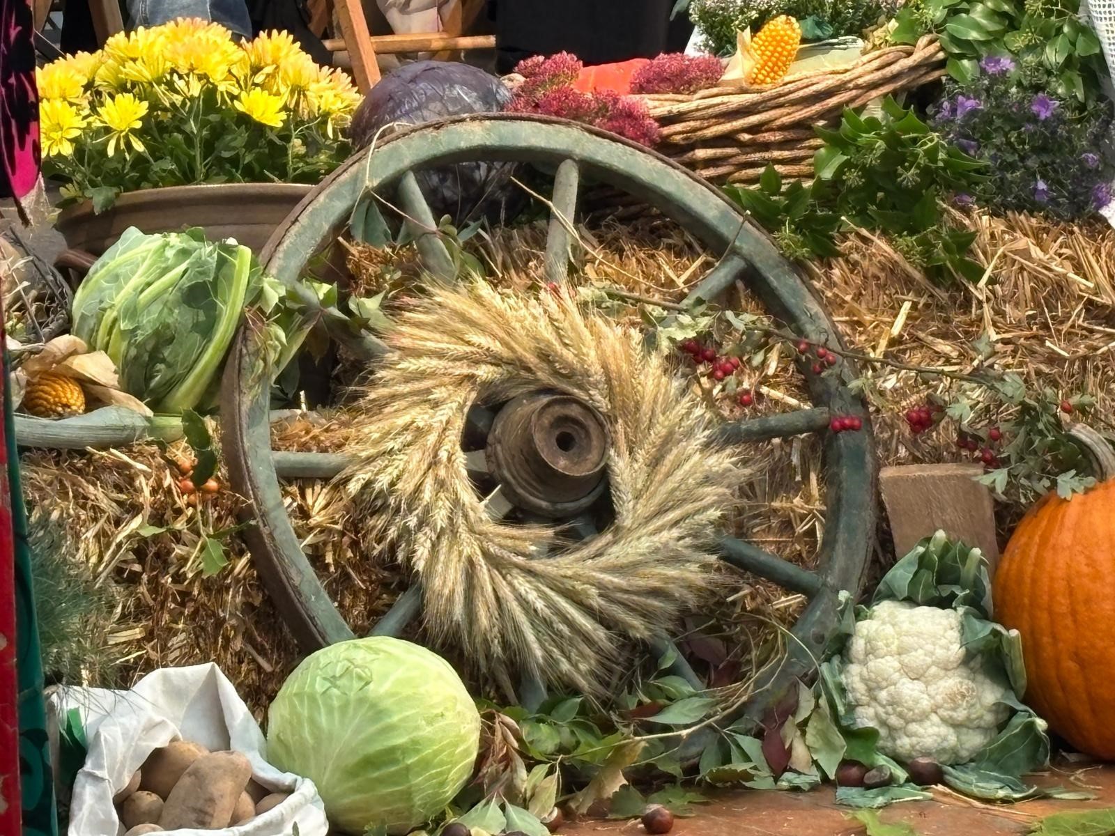 Landeserntedankfest im Schaumburger Land am 05.10.2025